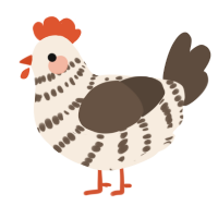 A cream and bark chicken with a bar pattern
