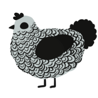 A silver and black chicken with a double-lace pattern
