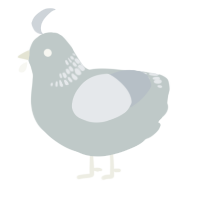 A silver and mist chicken with a neck-band pattern