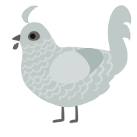 A silver chicken with a lace pattern