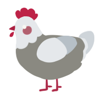 A ash and mist chicken with a head pattern