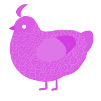 A orchid chicken with a double-lace pattern