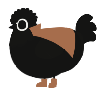 A black chicken with a head pattern