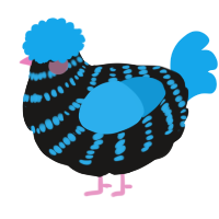 A sable and sky chicken with a bar pattern