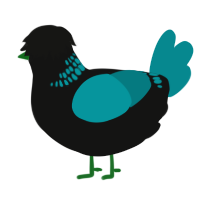 A black and teal chicken with a neck-band pattern