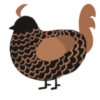 A sable and brown chicken with a lace pattern