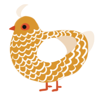 A orange and cream chicken with a lace pattern