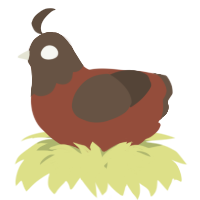 A russet and bark chicken with a head pattern