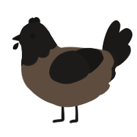 A bark and sable chicken with a head pattern