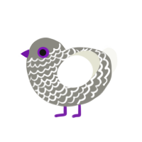 Demisexual, a ash and white chicken with a lace pattern