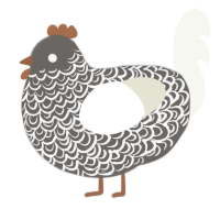 A grey and white chicken with a double-lace pattern