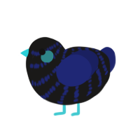 Midnight, a sable and navy chicken with a bar pattern