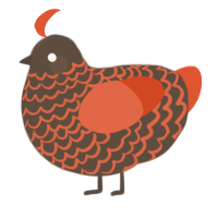 A bark and vermilion chicken with a lace pattern
