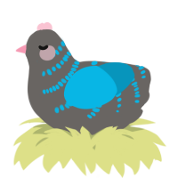 A grey and cerulean chicken with a half-bar pattern