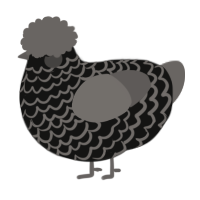 A black and grey chicken with a lace pattern