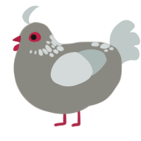 A ash and silver chicken with a neck-speckle pattern