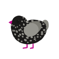 Night Club, a sable and ash chicken with a speckle pattern