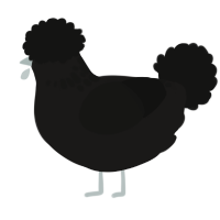 A sable and black chicken with a neck-speckle pattern