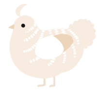 A cream chicken with a half-bar pattern