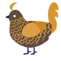 A bark and orange chicken with a lace pattern