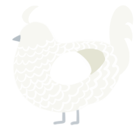 A white chicken with a lace pattern