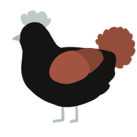 A black and russet chicken
