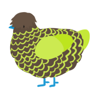 A bark and lime chicken with a lace pattern
