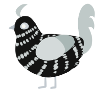A black and silver chicken with a bar pattern