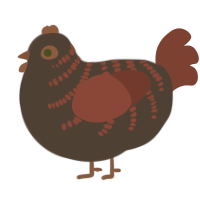 A bark and russet chicken with a half-bar pattern