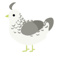 A white and ash chicken with a half-lace pattern