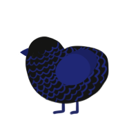 (unnamed), a black and navy chicken with a lace pattern