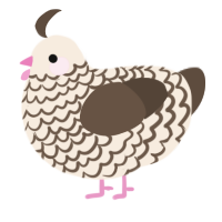 A cream and bark chicken with a lace pattern