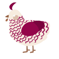 A cream and maroon chicken with a lace pattern