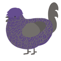 A overcast and grey chicken with a double-lace pattern