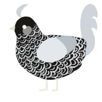 A sable and mist chicken with a double-lace pattern