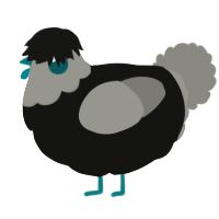 A black and ash chicken with a head pattern
