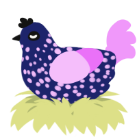 A navy and lavender chicken with a speckle pattern