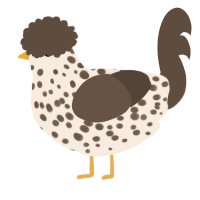 A cream and bark chicken with a speckle pattern