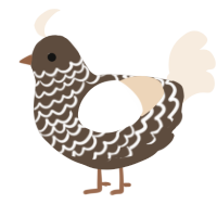 A bark and cream chicken with a lace pattern