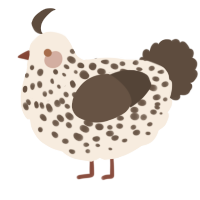 A cream and bark chicken with a speckle pattern