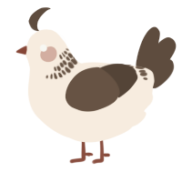 A cream and bark chicken with a neck-band pattern