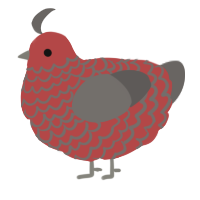 A red and grey chicken with a lace pattern