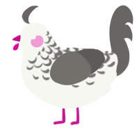 A white and grey chicken with a half-lace pattern