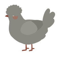 A ash chicken