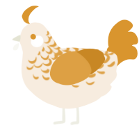 A cream and orange chicken with a half-lace pattern