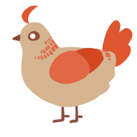 A beige and vermilion chicken with a neck-band pattern