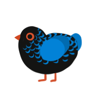 (unnamed), a black and sapphire chicken with a half-lace pattern