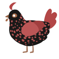 A sable and red chicken with a speckle pattern