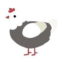 A grey and white chicken with a head pattern