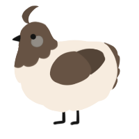A cream and bark chicken with a head pattern